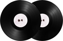 Load image into Gallery viewer, ALONE AT PROM (DELUXE) GATEFOLD 2LP VINYL